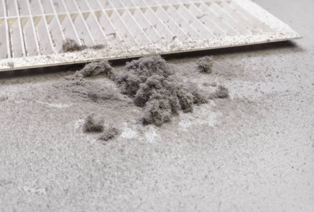 Air Duct Mold Removal in Palm Beach Gardens, FL