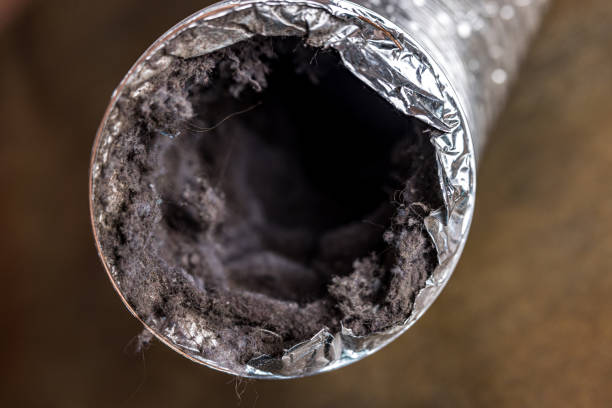 Best Professional Duct Cleaning Services  in Palm Beach Gardens, FL